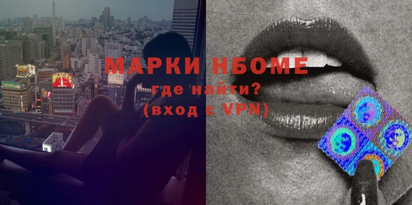стаф Тобольск