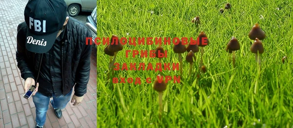 а пвп мука Елабуга