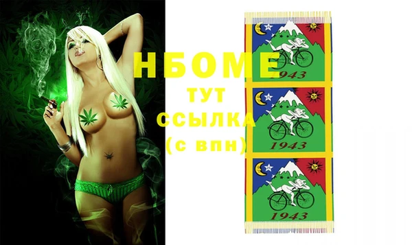 сатива Заволжье
